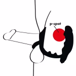 Inel Penian și Dop Vibrator
