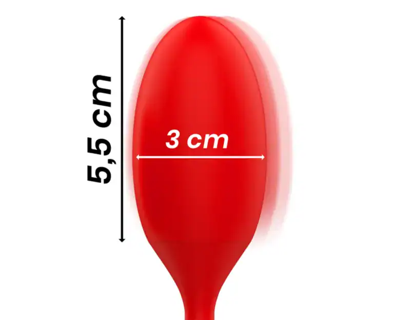 MIA TOSCANA DOUBLE PLEASURE WAND VIBRATING EGG4