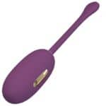 Ou Vibrator PURPLE Reîncărcabil Pretty Love Doreen – Control de la distanță4