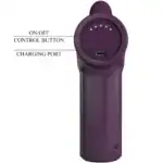 PRETTY LOVE DJ SCHOLAR MASSAGER 5 SETTINGS PURPLE6