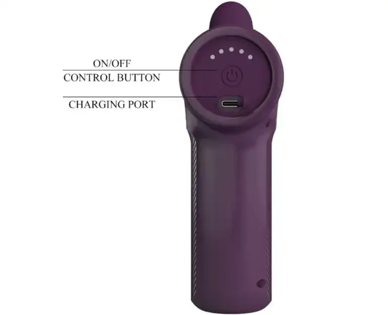 PRETTY LOVE DJ SCHOLAR MASSAGER 5 SETTINGS PURPLE6