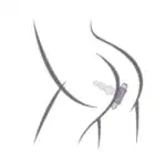 plug anal vibratii4