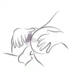 plug anal vibratii5
