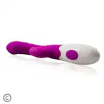 Vibrator Rabbit Pretty Love Arthur, Stimulare G-Spot și Clitoris, 20 cm – Lila